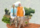 प्रधानमंत्री श्री मोदी देश से विलुप्त चीतों को देश के दिल मध्यप्रदेश के कूनो राष्ट्रीय उद्यान में करेंगे मुक्त