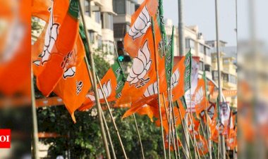 बीजेपी प्रदेश टीम का ऐलान आख़िरकार हुआ , प्रदेश पदाधिकारियों और मोर्चा अध्यक्षों की घोषणा, देखिये लिस्ट