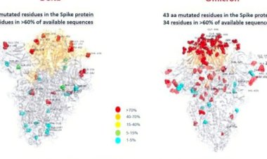 ओमिक्रॉन की पहली तस्वीर, ये हैं कोरोना के नए म्यूटेंट के लक्षण