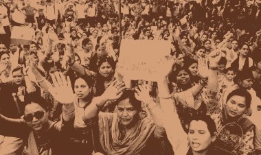 नए साल में राज्य शासन ने अतिथि विद्वानों को दिया बड़ा तोहफा, वेतन में बढ़ोतरी, अब इतनी मिलेगी सैलरी