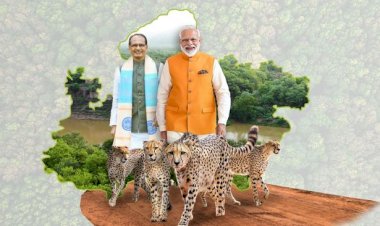 प्रधानमंत्री श्री मोदी देश से विलुप्त चीतों को देश के दिल मध्यप्रदेश के कूनो राष्ट्रीय उद्यान में करेंगे मुक्त