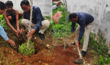 प्रकृति की खूबसूरती के लिए करें पौधरोपण - श्री जैन