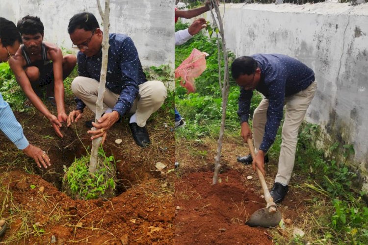 प्रकृति की खूबसूरती के लिए करें पौधरोपण - श्री जैन